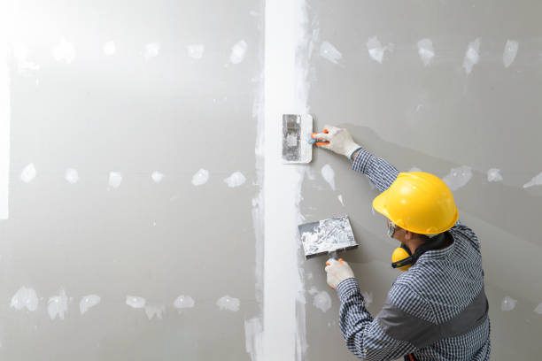 Best Mold Odor Removal Services  in Los Lunas, NM