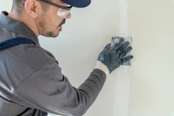 Best Residential Mold Inspection & Testing  in Los Lunas, NM