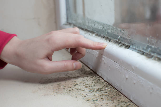Best Air Quality Testing for Mold Spores  in Los Lunas, NM